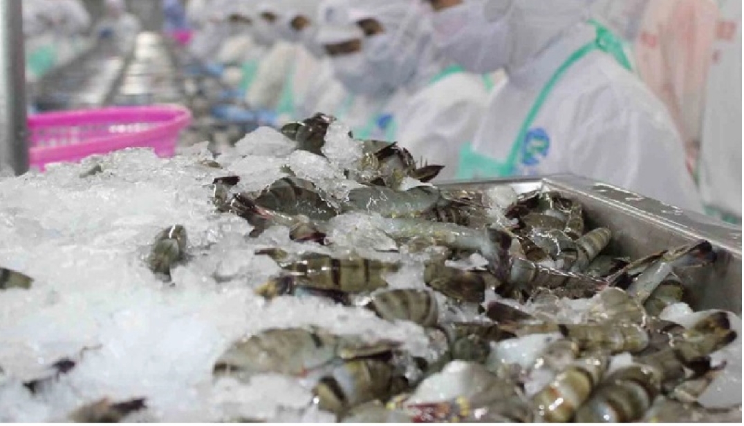 Vietnam maintains top 5 position in seafood exports to Singapore for three consecutive quarters