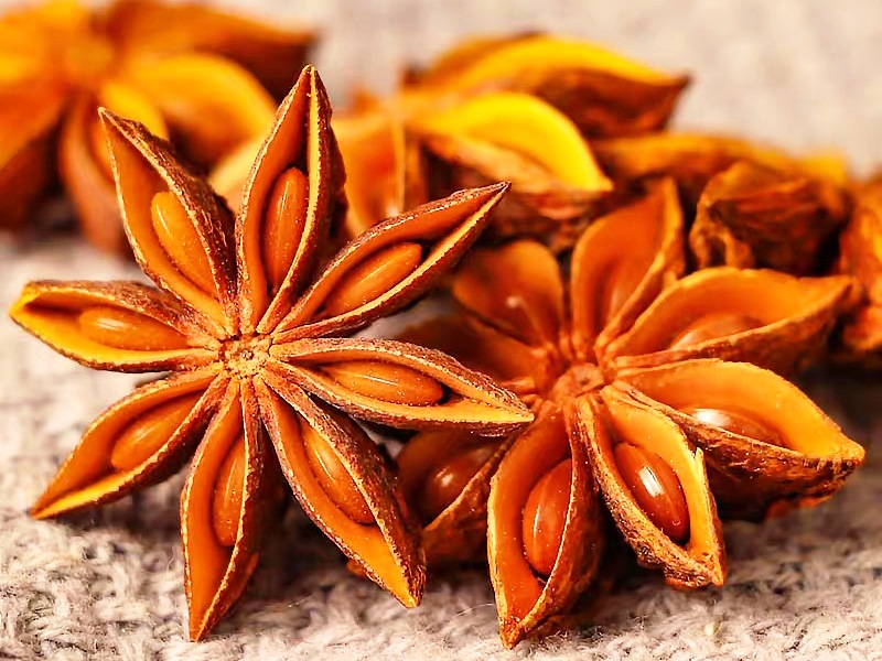 India remains Vietnam’s largest star anise export market