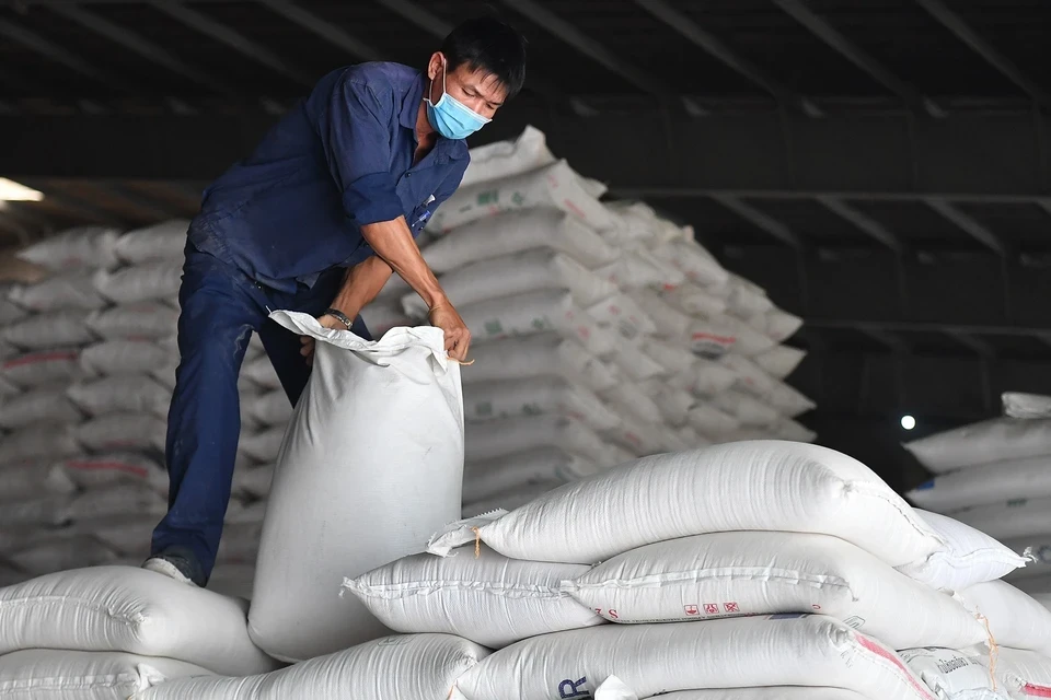 Vietnam’s rice imports hit record high