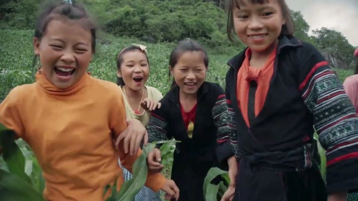 Taking films to festivals Opportunities for Vietnamese filmmakers