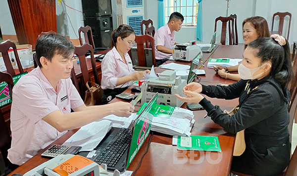 Effective credit for socio-economic recovery and development in Binh Dinh