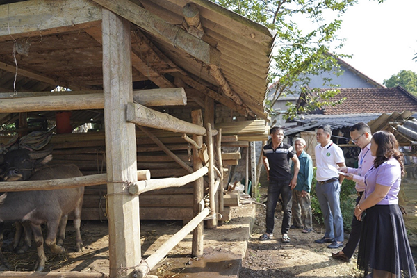 Tan Ky - mountainous area is changed thanks to policy credit