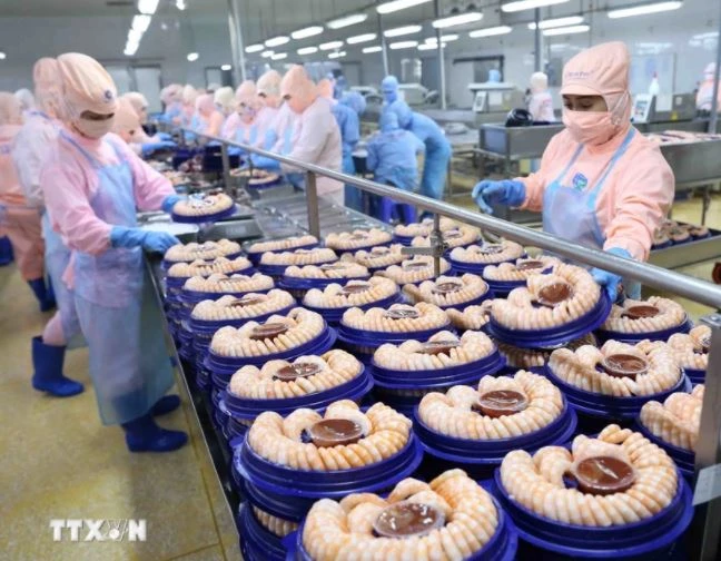 Vietnam’s aquatic exports expected to exceed 10 billion USD