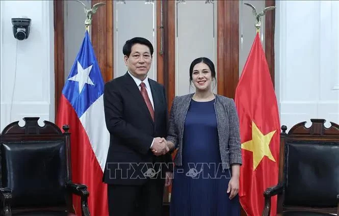 Parliamentary ties crucial to Vietnam - Chile comprehensive partnership State leader