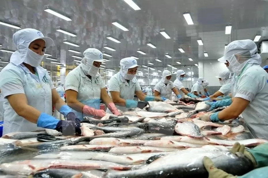 Vietnam’s pangasius exports to Canada recover