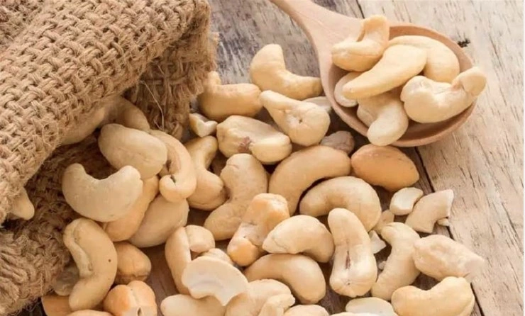 Vietnam emerges as biggest importer of cashew nuts from Cambodia