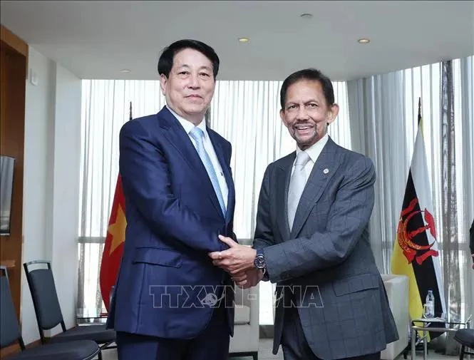 State President meets with Sultan of Brunei