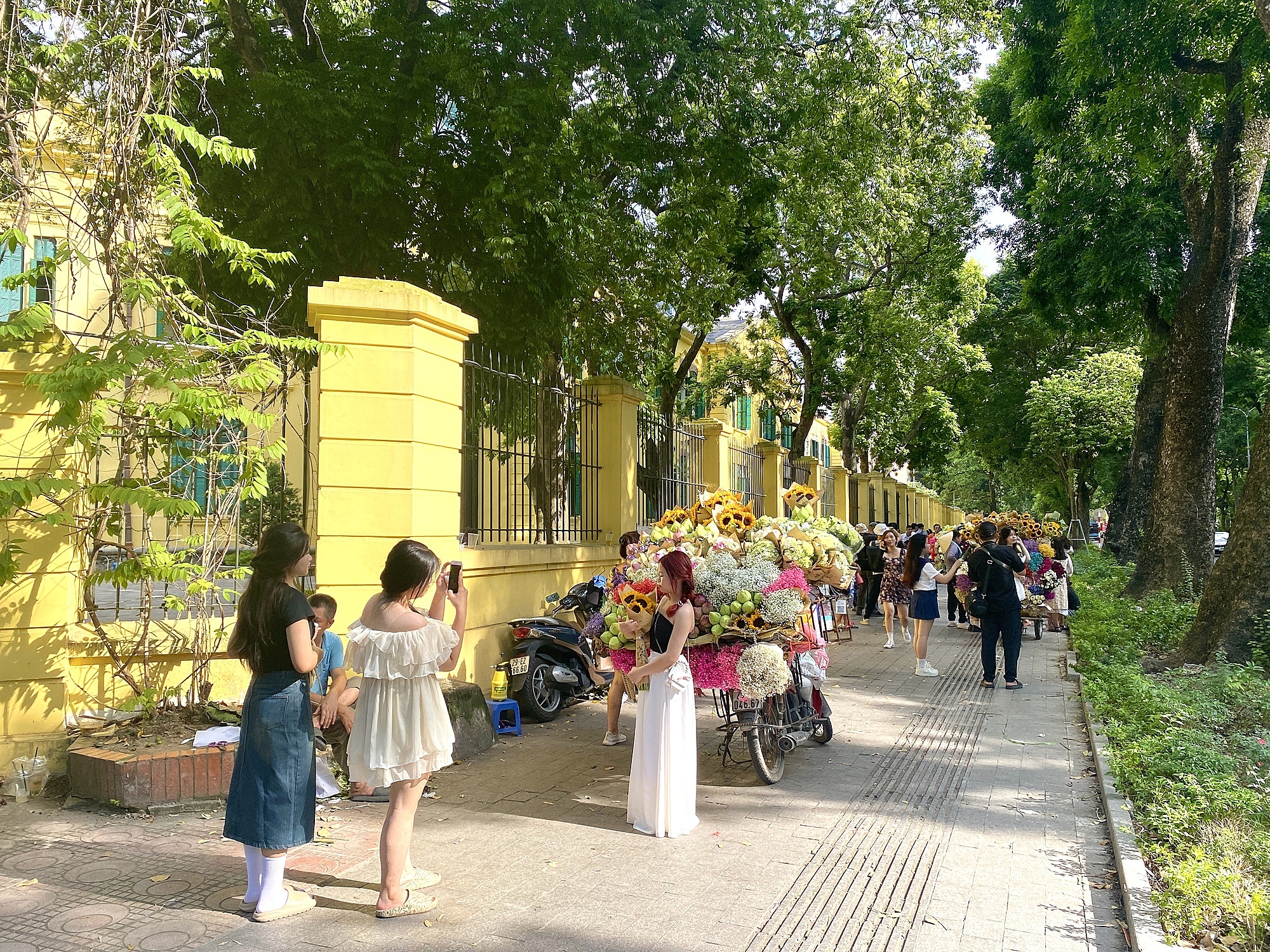 Beauty of Hanoi autumn attract a large number of visitors