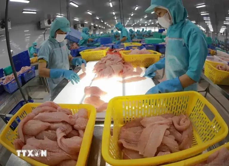 Tra fish export could hit 2 billion USD in 2024 Workshop