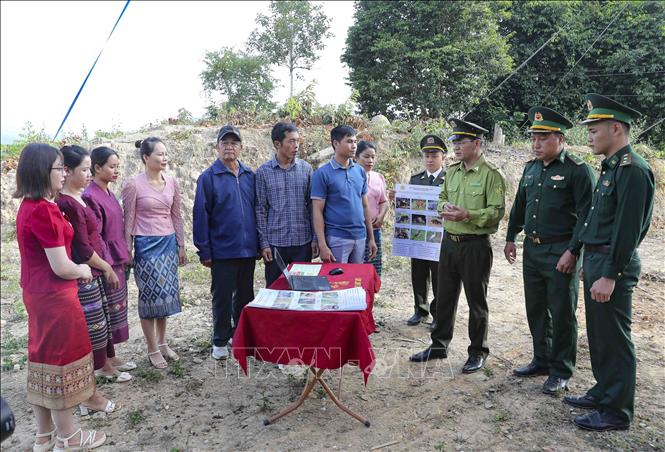 Vietnamese and Lao border residents join hands to protect forests