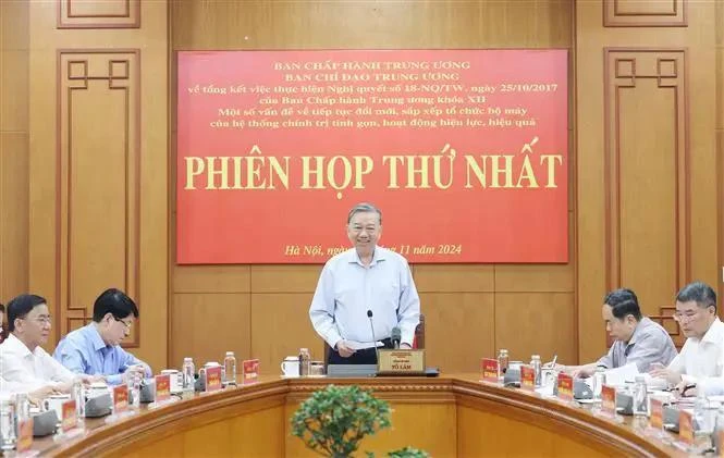 Party chief requires high determination in streamlining political system