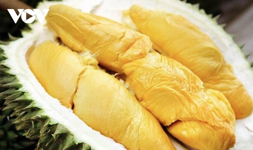 Vietnam becomes largest supplier of durian to China in September