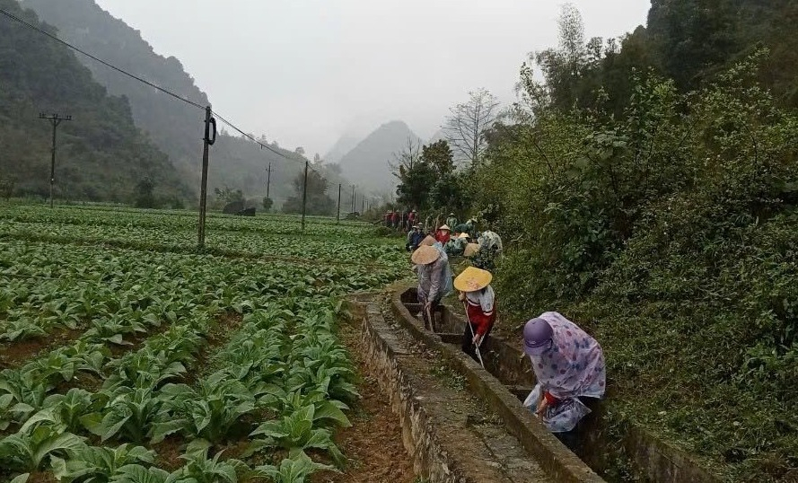 Replicating typical advanced models studying and following Ho Chi Minh s ideology, morality and lifestyle in Ha Quang district