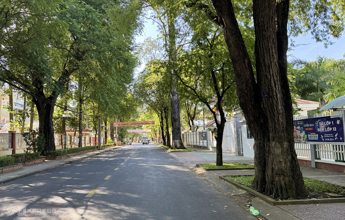 A city among centuries-old trees in Mekong Delta