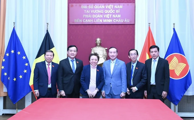 Ho Chi Minh City National Assembly delegation visits Belgium and Germany