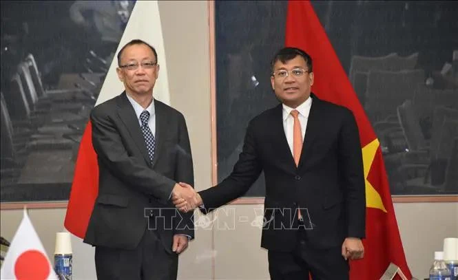 Vietnam, Japan hold 8th strategic partnership dialogue