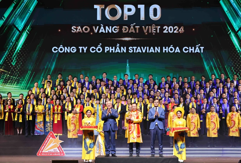 Outstanding enterprises honoured with Vietnam Gold Star Award 2024
