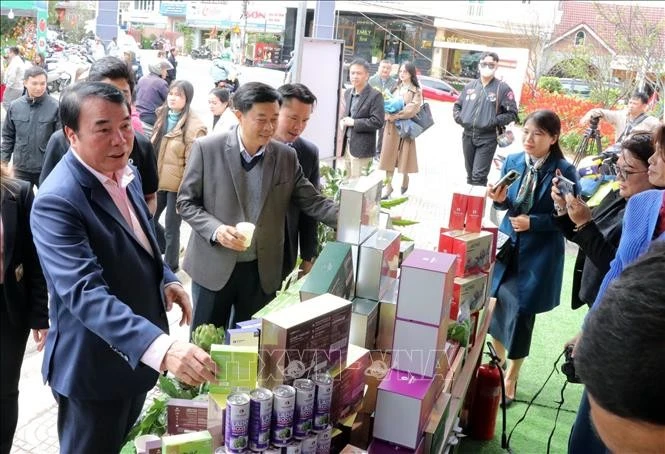 Wine - tea - coffee street launched in resort city of Da Lat