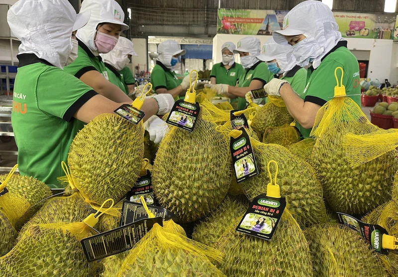 National standards set for key fruit and vegetable export products