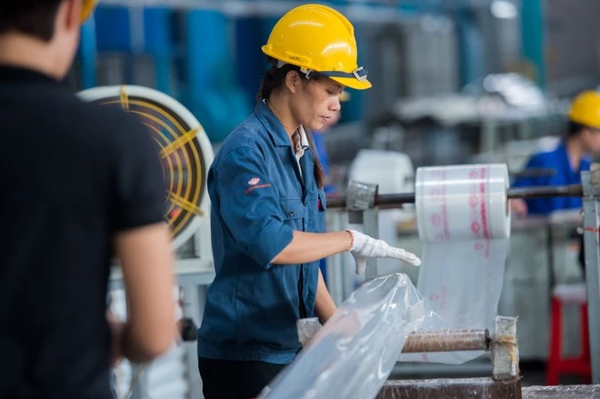 Vietnam s economy Flexible and reasonable fiscal policy