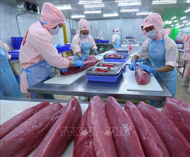 Forte hausse des exportations nationales de thon