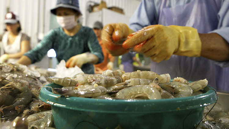Hausse des exportations de produits agricoles, forestiers et aquatiques au premier semestre