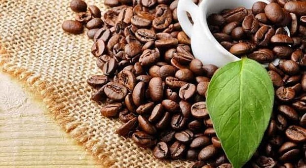 Opportunités élargies pour le café vietnamien aux États-Unis