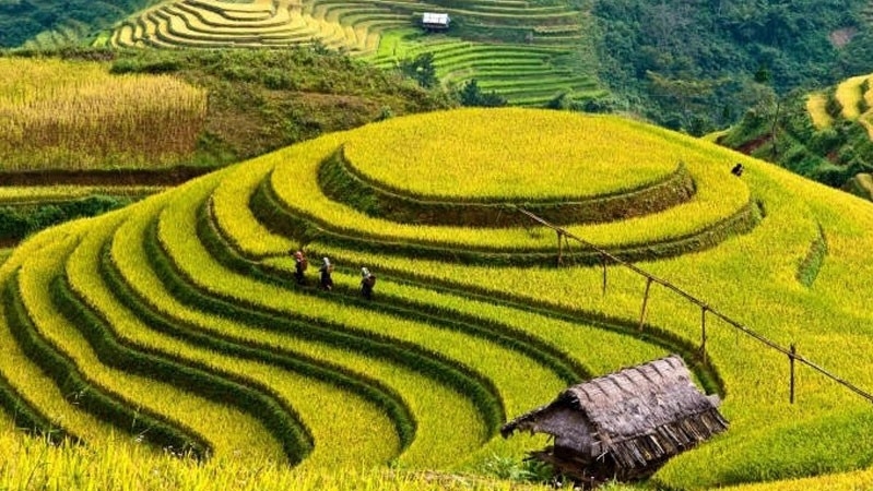 Mu Cang Chai prévoit de devenir un quartier touristique de la région Nord-Ouest