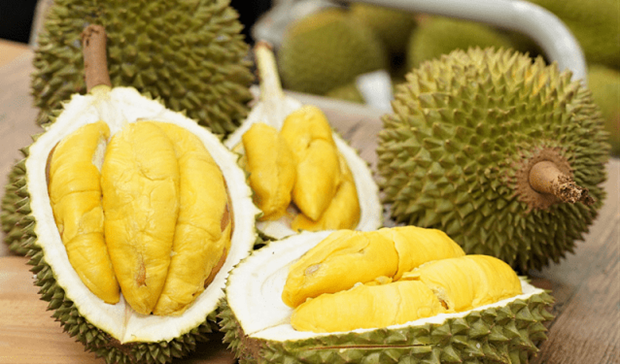 Le Vietnam exporte du durian vers la Chine par les voies officielles