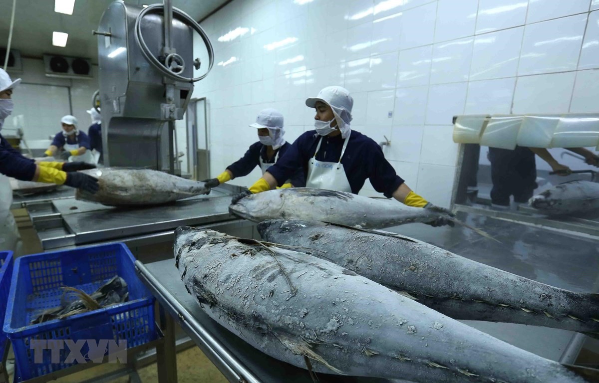 Le CPTPP offre de nombreuses opportunités d exportation de produits aquatiques vers le Japon