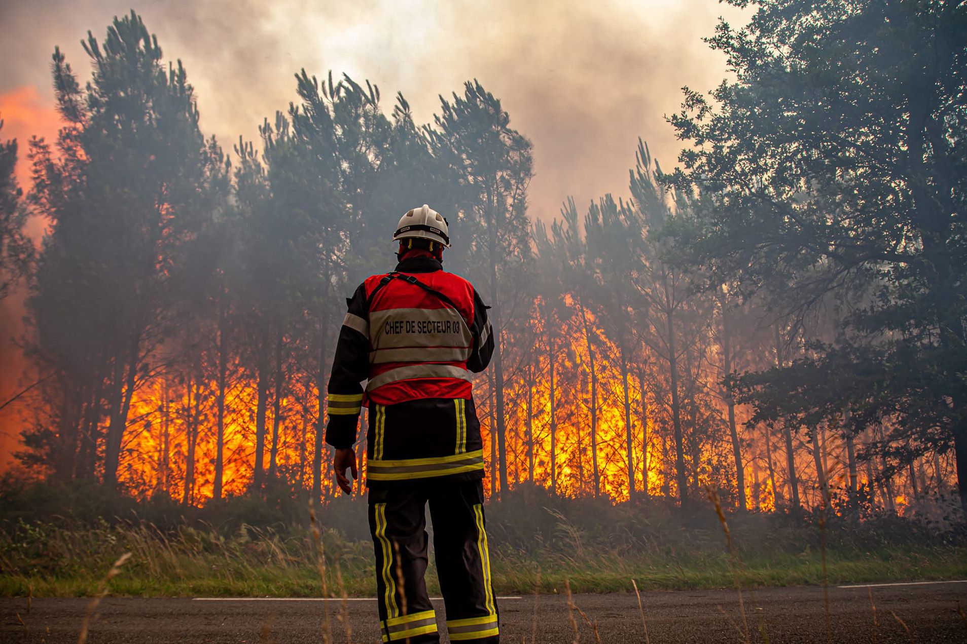Incendies en Gironde plus de 10 000 hectares ravagés, les feux toujours pas maîtrisés