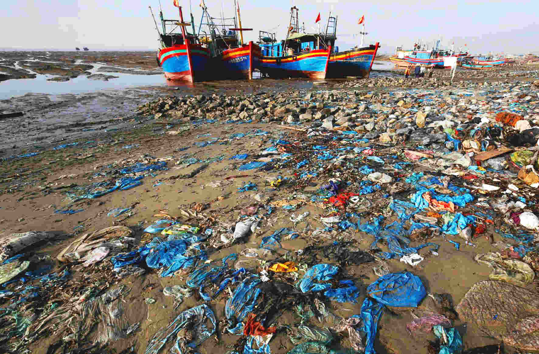 Le PNUD aide Binh Dinh à réduire la pollution plastique marine