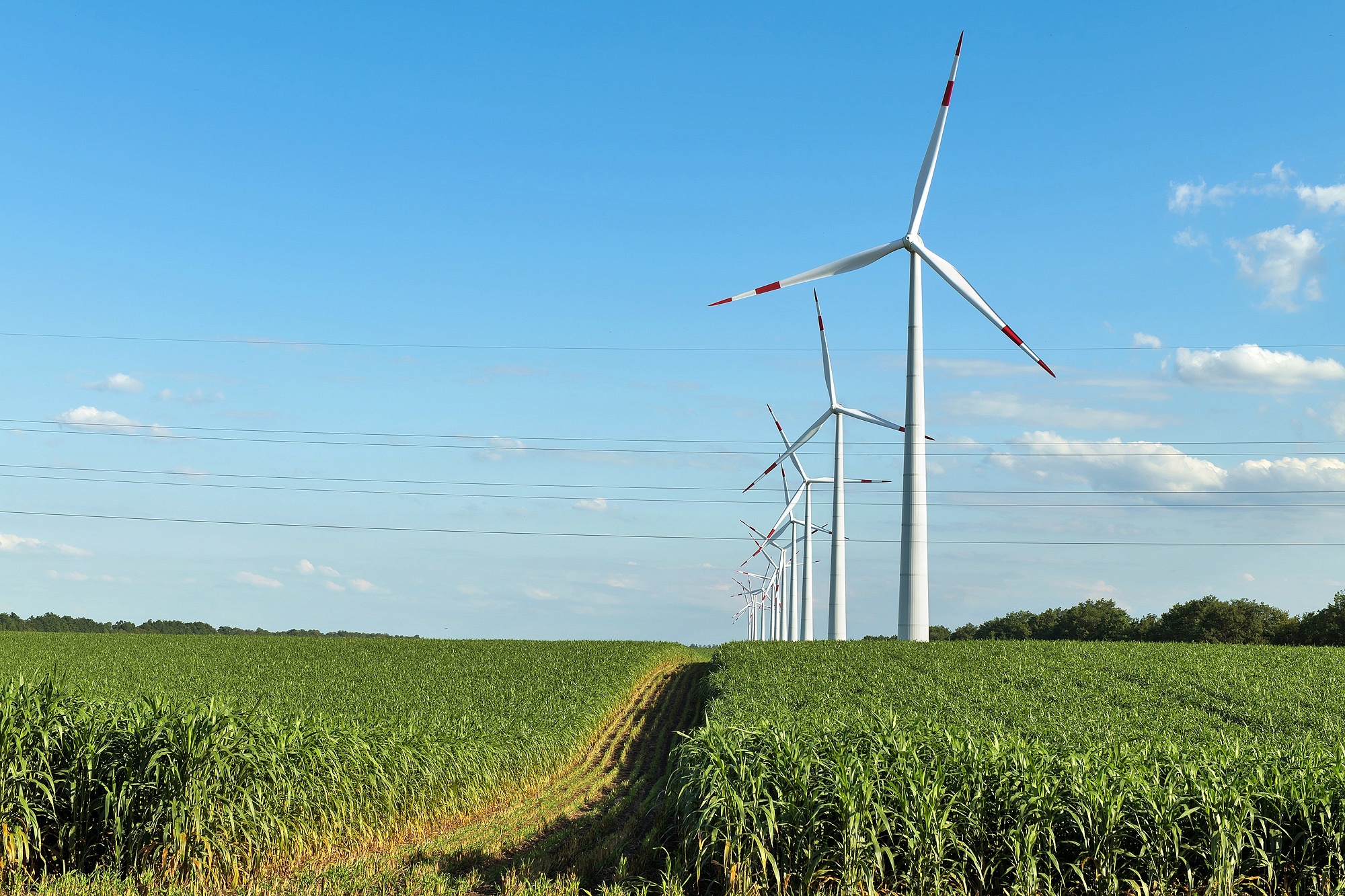 Un groupe énergétique russe veut construire un parc éolien à Son La