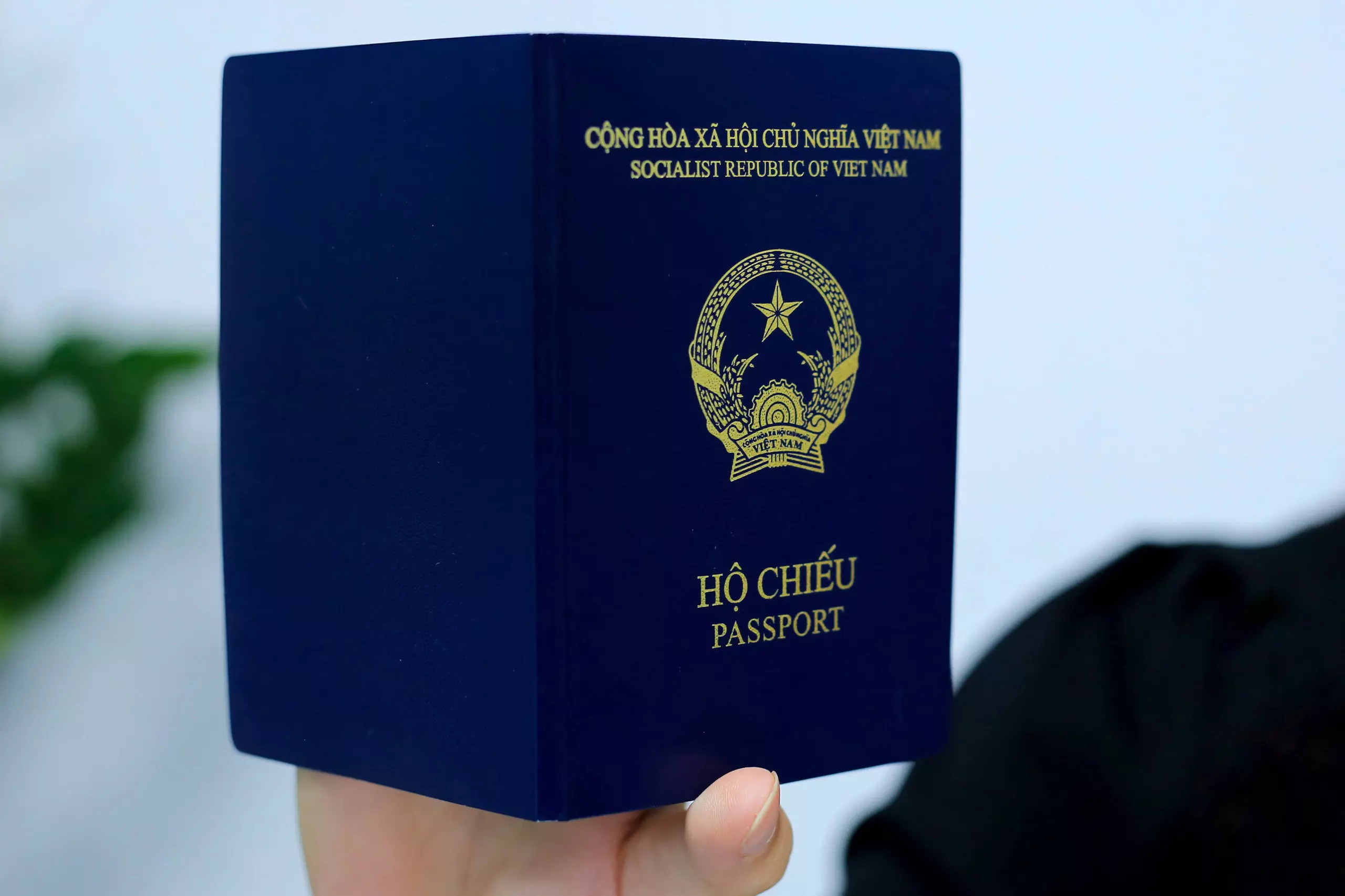 L’ambassade du Vietnam en Allemagne délivre une attestation complémentaire pour le nouveau passeport