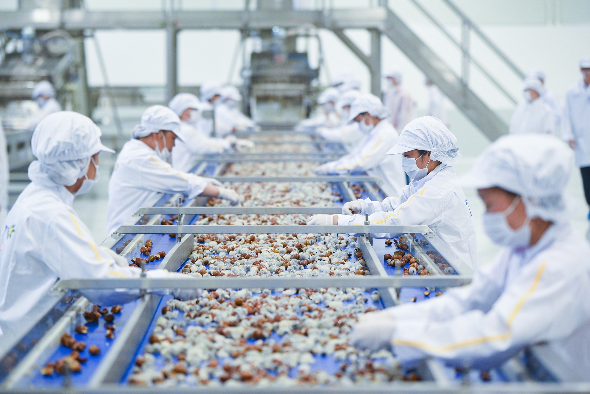 Le Vietnam vise le top 10 mondial de la transformation agricole