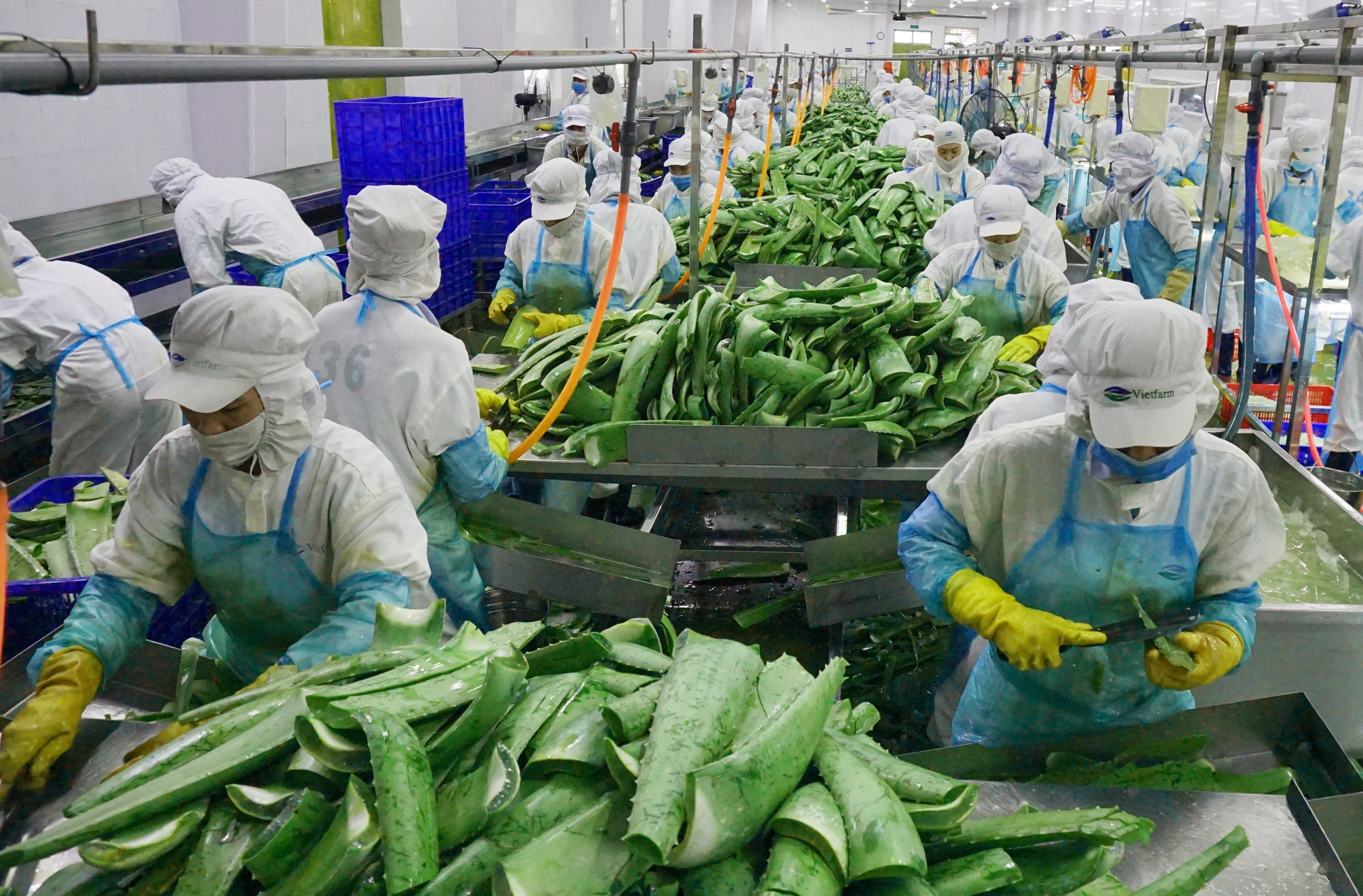 Les informations marquantes du 1er août