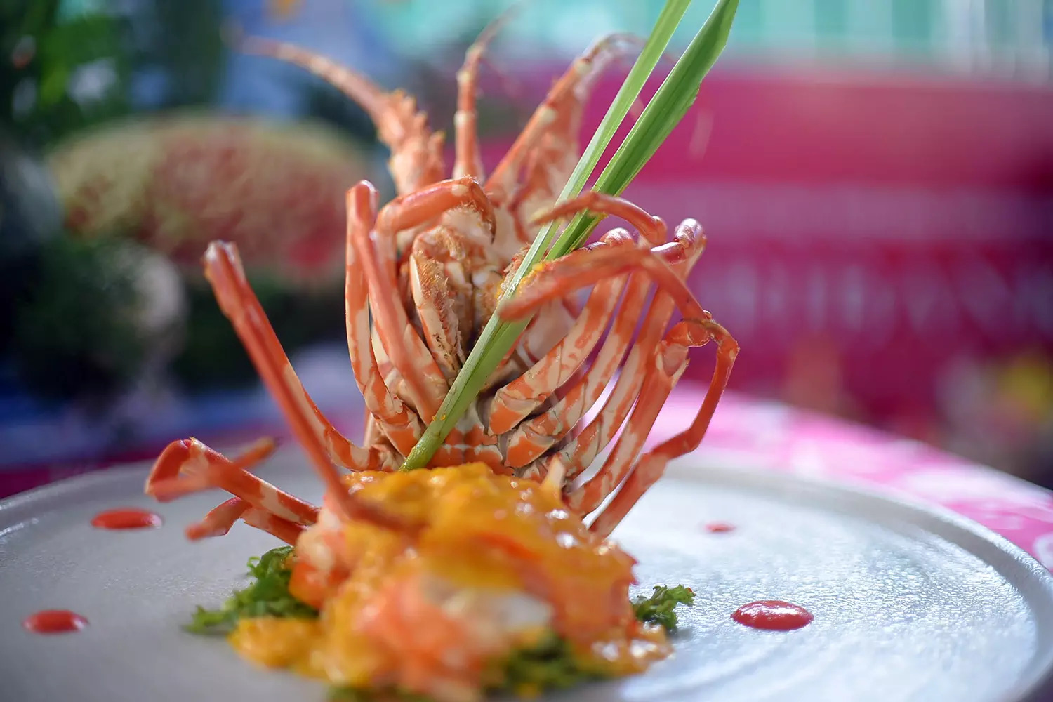 Phu Yen 100 plats à base de homard établissent un record national