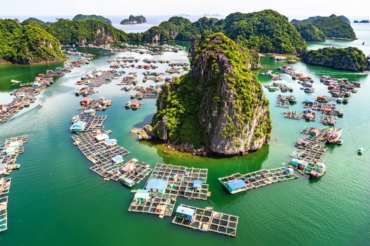 Un site de voyage américain choisit la baie de Lan Ha comme la plus belle destination du Vietnam