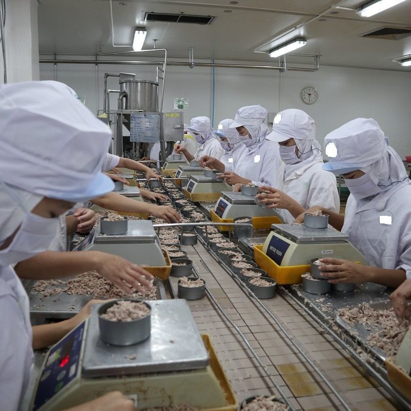 Le thon du Vietnam s’exporte bien vers la France