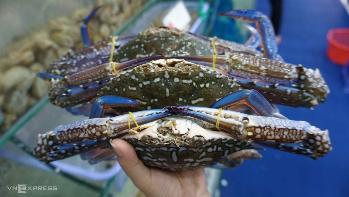 Les exportations de crabe en forte augmentation après 2 ans de Covid-19
