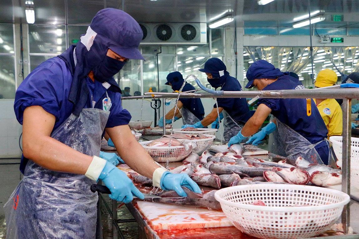 Le Mexique parmi les premiers marchés d exportation du pangasius vietnamien