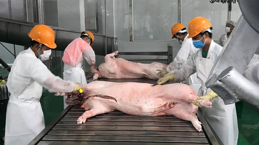 Hausse à 3 chiffres des exportations de porc en 6 mois