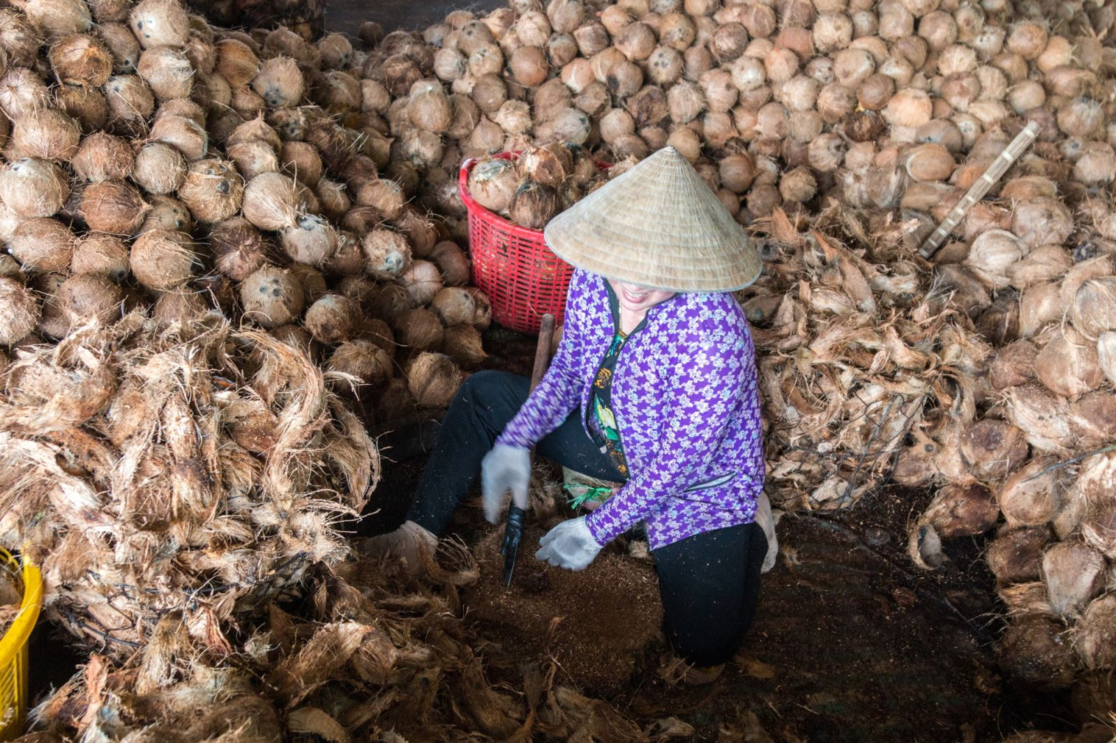 Succès en Australie des produits vietnamiens à base de coco