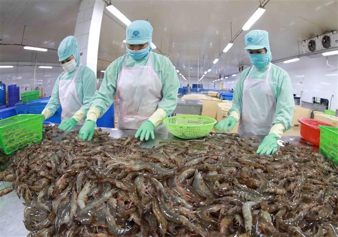 Les exportations de produits agricoles, sylvicoles et aquacoles en hausse de 13 en huit mois