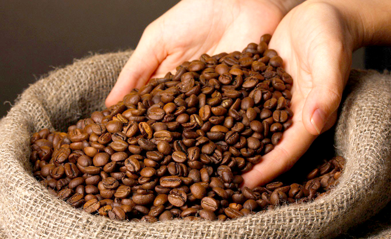 Le Vietnam, deuxième exportateur mondial de café