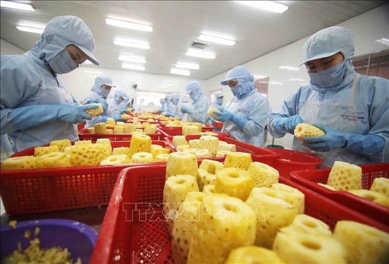 Presse malaisienne les exportations de fruits vietnamiens en plein essor