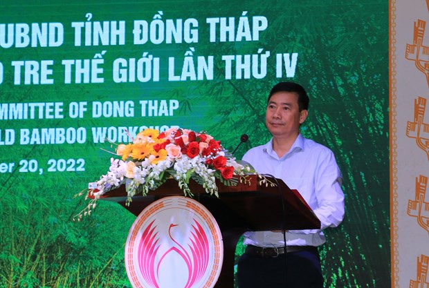 Dong Thap associe la conservation du bambou à l écotourisme