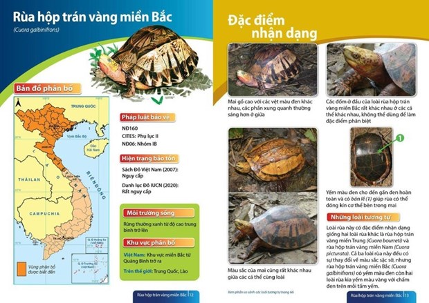 Publication d un guide sur les tortues terrestres et d eau douce du Vietnam