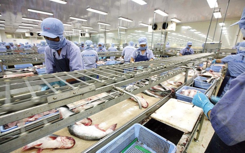 Exportations de produits agro-sylvicoles et aquatiques en hausse de 10,7 en neuf mois
