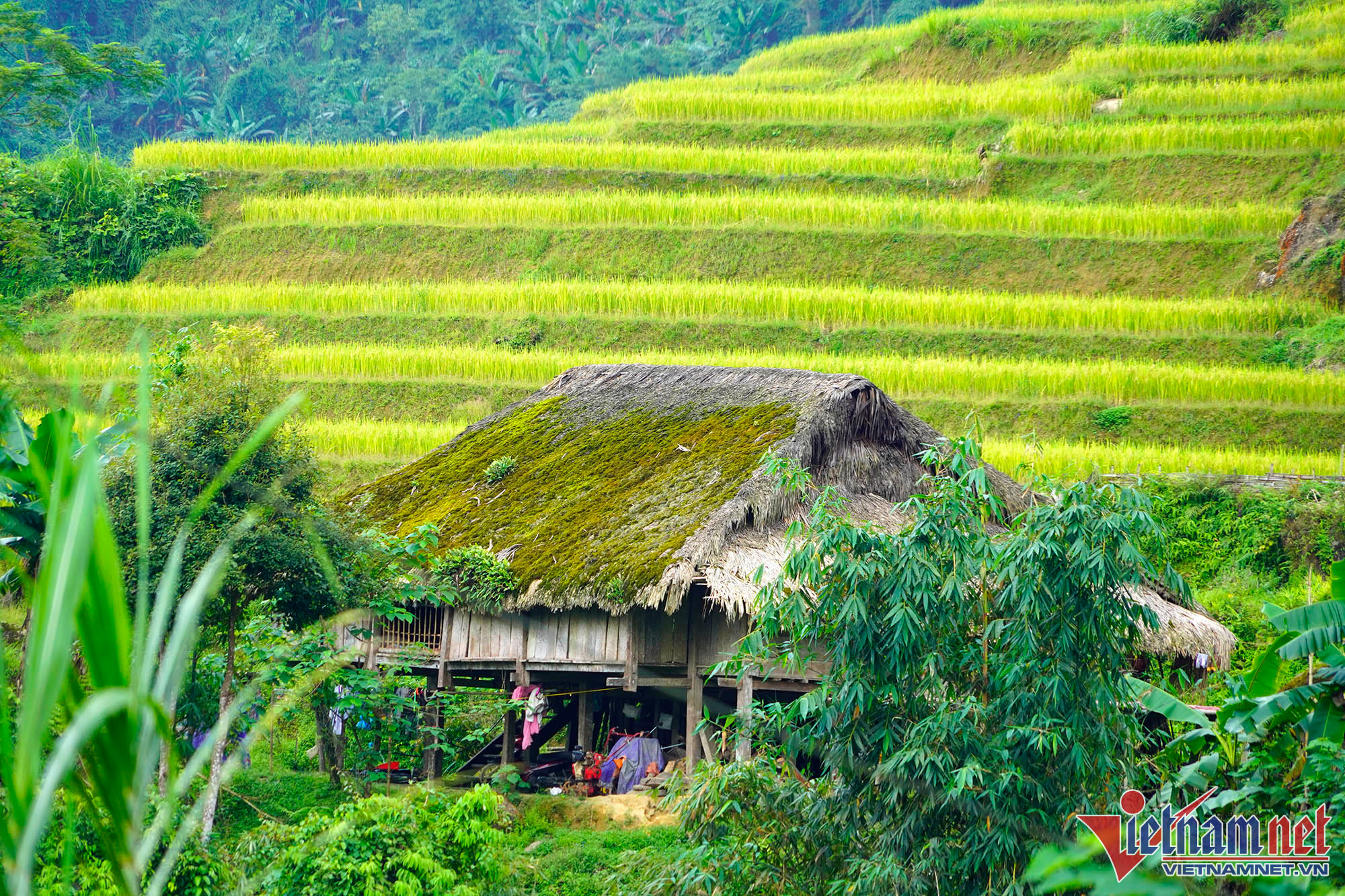 La beauté des toits moussus de l’ethnie Dao sur la chaîne Tay Con Linh en automne